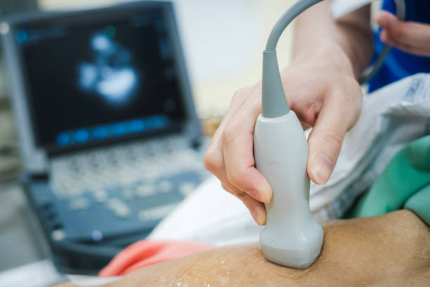 Echocardiography /2Decho